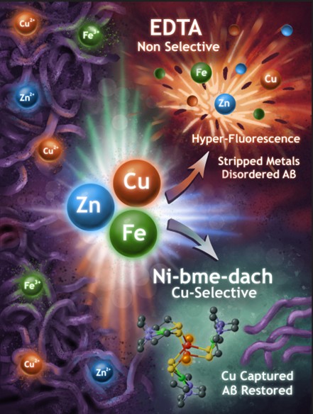 Mackiewicz Lab tweet media