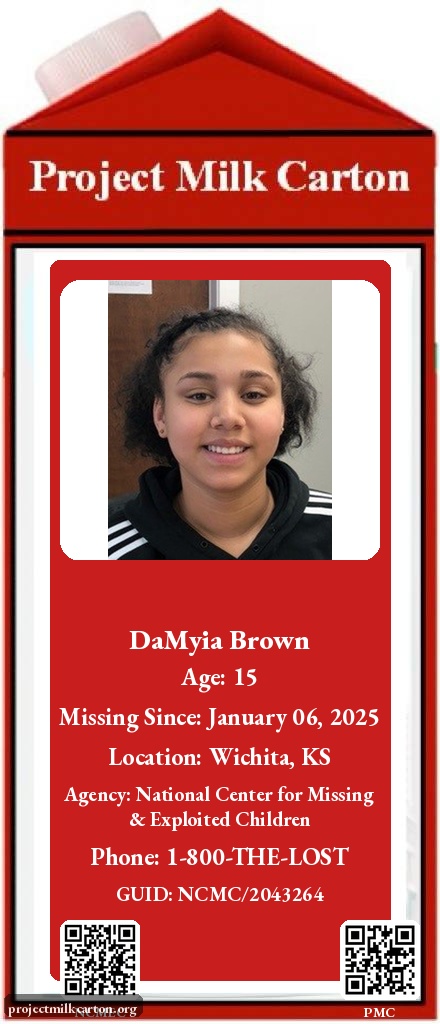 HOLLYandtheBROS tweet media