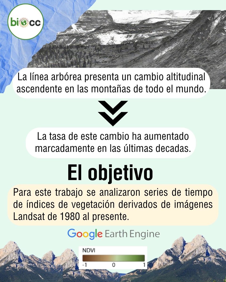 LNCBioCC tweet media