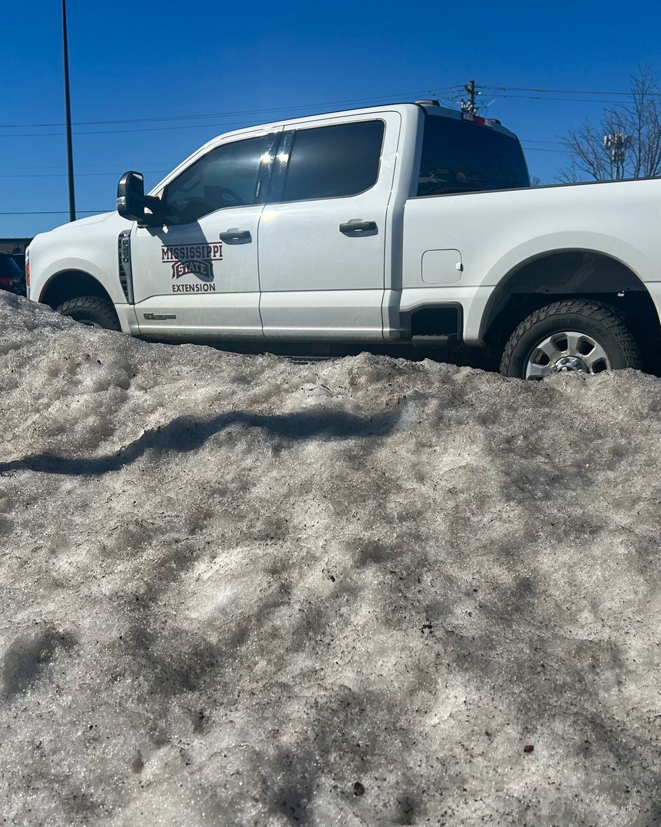 Erick Larson tweet media