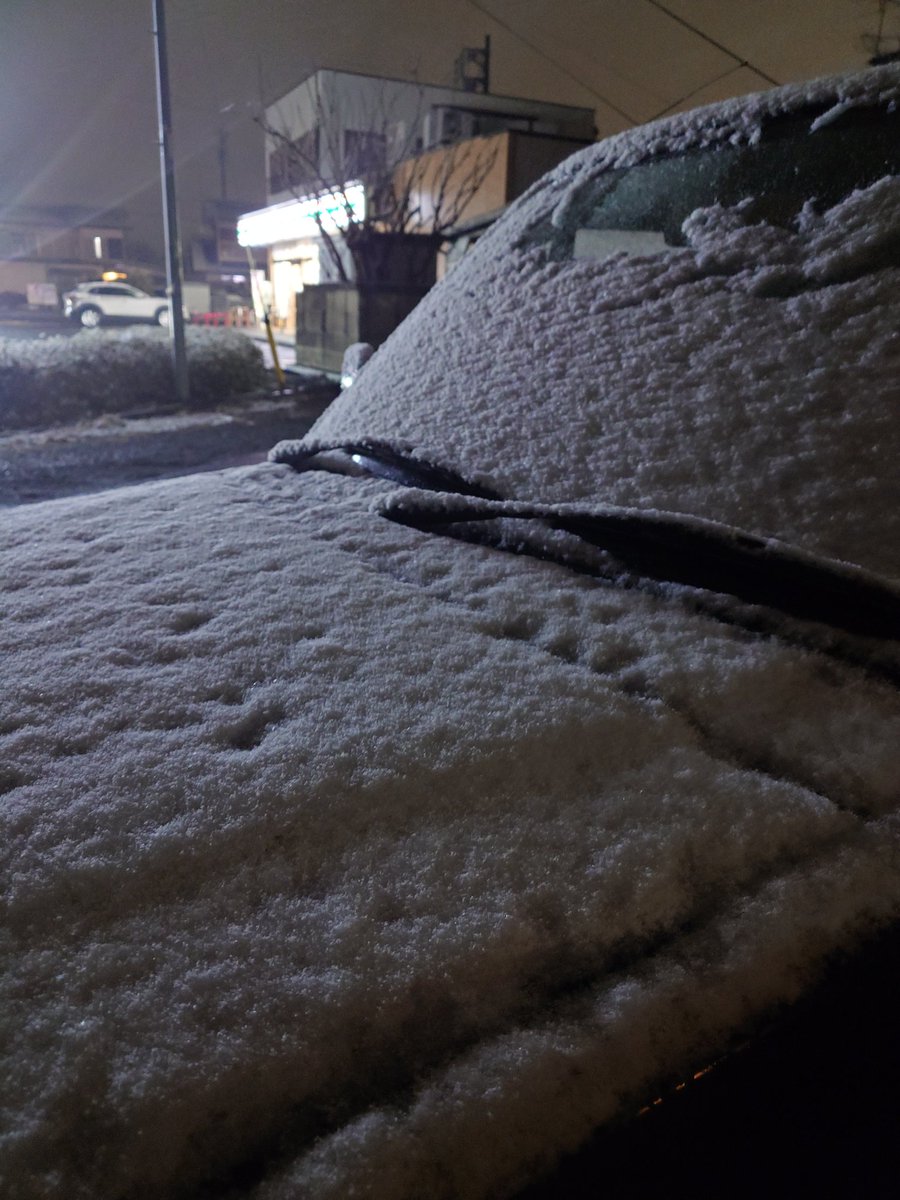 koshirae_com's tweet photo. 毎年恒例の雪遊び！ https://t.co/i0GRrwEXy0