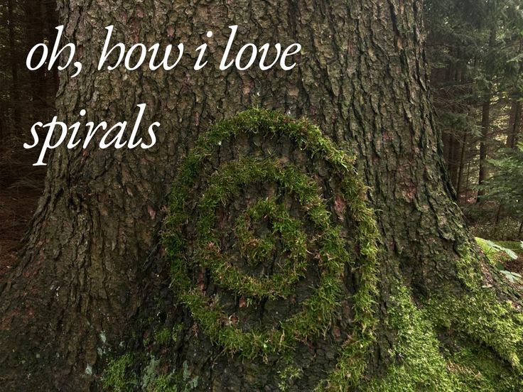 𓍊˖ ࣪⊹ tweet media