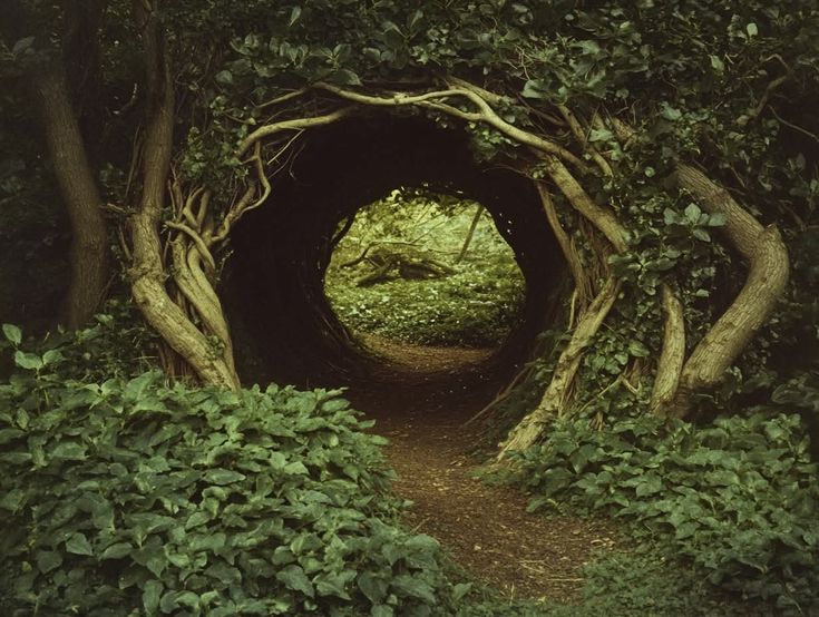 🌿🌼🧺 tweet media