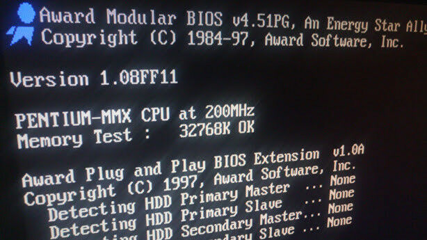 Mattia Pintus tweet media