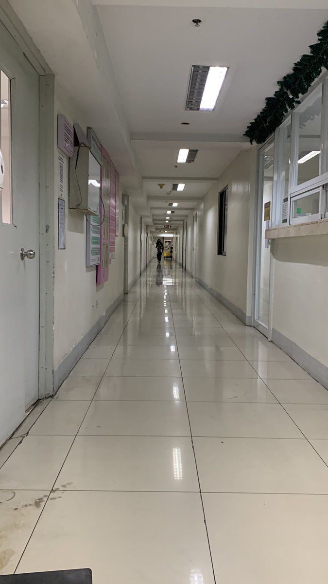 Splendid Dreamer tweet media