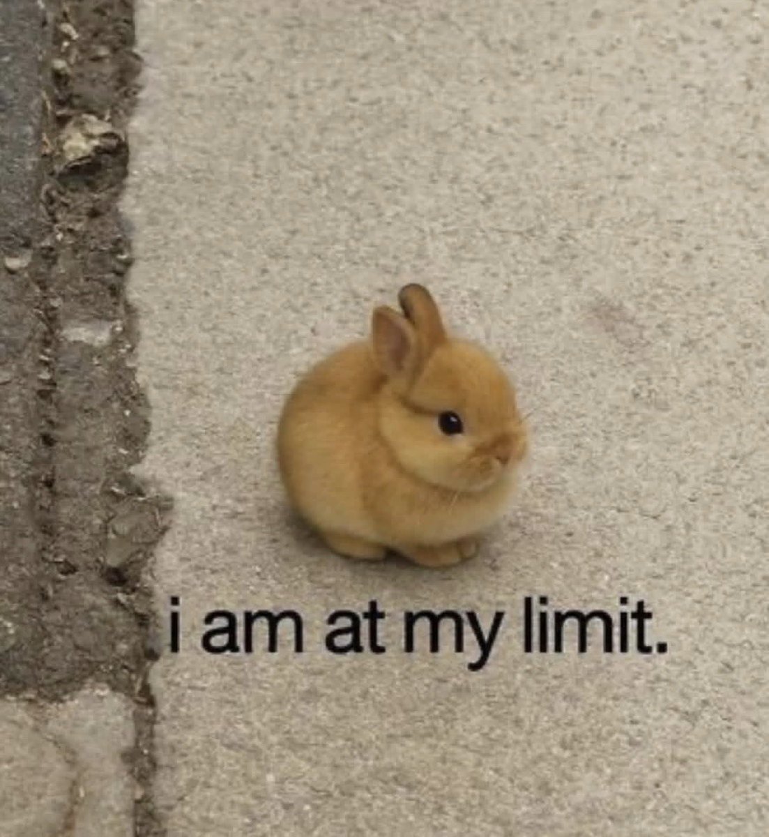 New York Metro Weather (@nymetrowx) on Twitter photo 