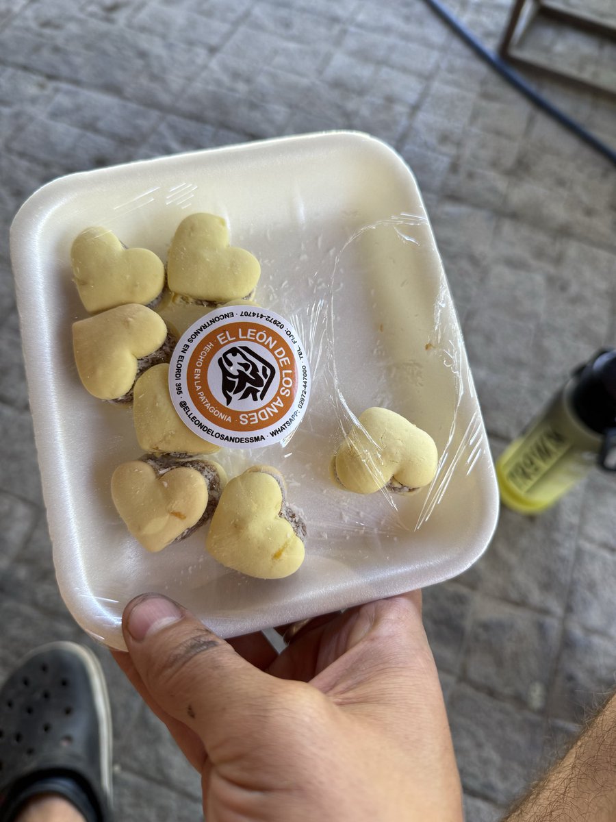 Si vienen a San Martín de Los Andes o son de acá, no dejen de probar los alfajores de maicena de “El Leon de Los Andes” son un viaje de ida con deportación incluida