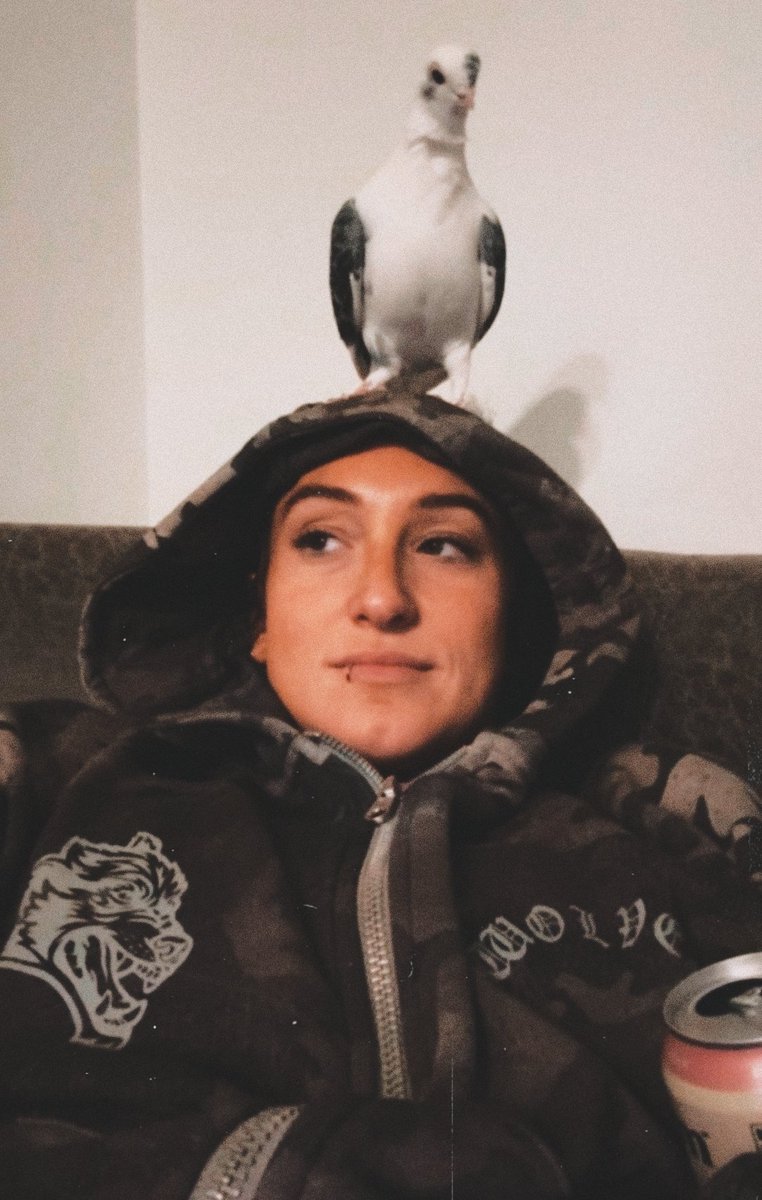 𝓚𝓻𝓲𝓼. ⋆.ೃ tweet media