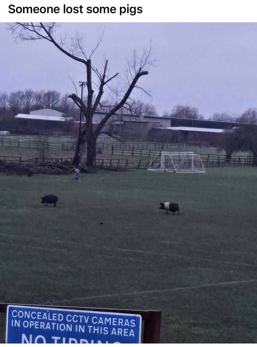 I love living in a small town 😂😂