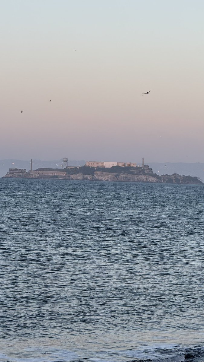 Live look at the future home of Patriots offense Sunday out here in SF #GoHawks