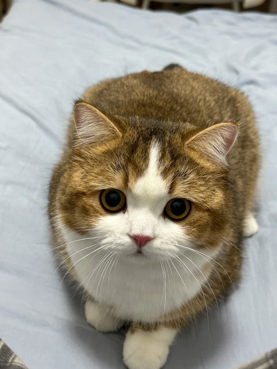 Fl___ora's tweet image. Be the person you needed when you were younger.🥰🥰🤗