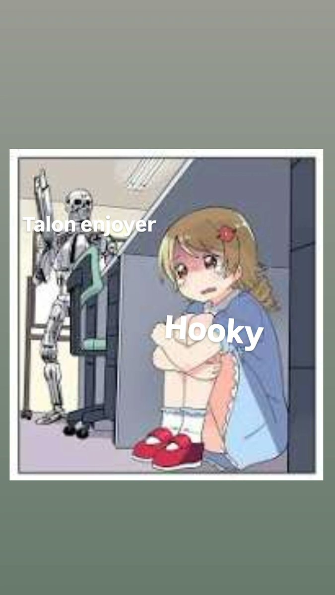 Talon enjoyer tweet media