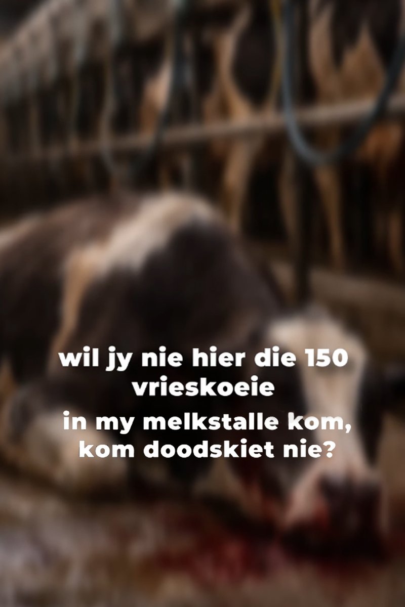 #BKL
#FMD
Boer het sy buurman gevra....
Dit mense, is die harde werklikheid wat ons Boere moet deurstaan, die afmaai van hul kuddes, Bessie, Madelein, Strikkies, ou Honderd die Brahmaan Bul, 'n dier met 'n naam is soos 'n kind.

<a href="/Saai_org/">Saai</a>, laai asseblief hierdie video van julle