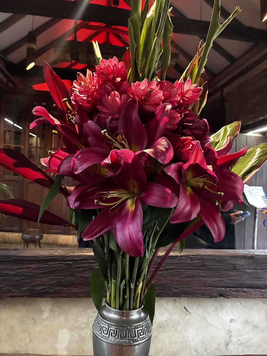 Flowers (@RubyGaleanoRoja) / Posts / X