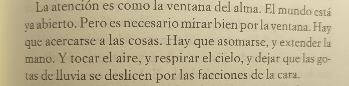 MiguelAPyo's tweet photo. Esquirol me devuelve a la sencillez y belleza de la vida atenta https://t.co/O0BTNIn4tJ
