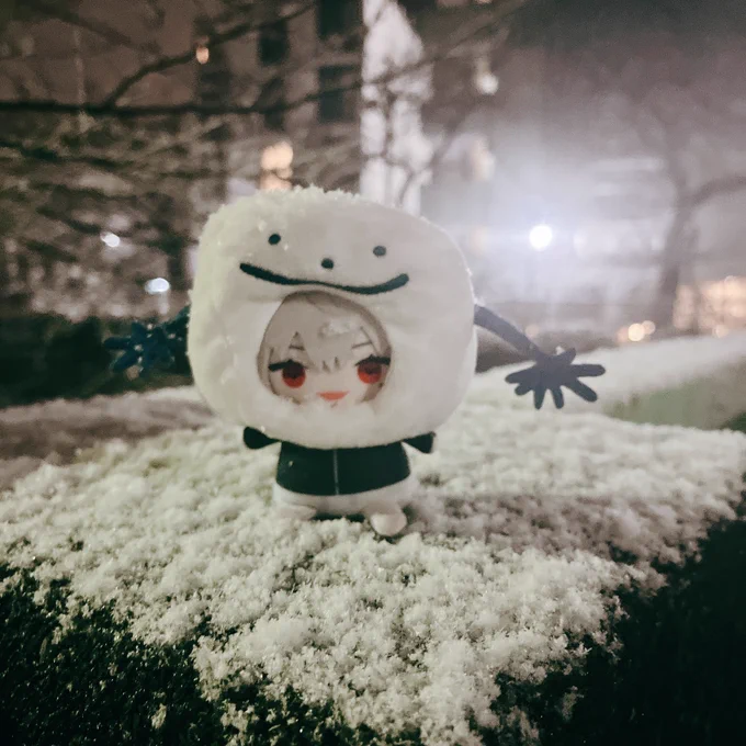 今年の雪だ