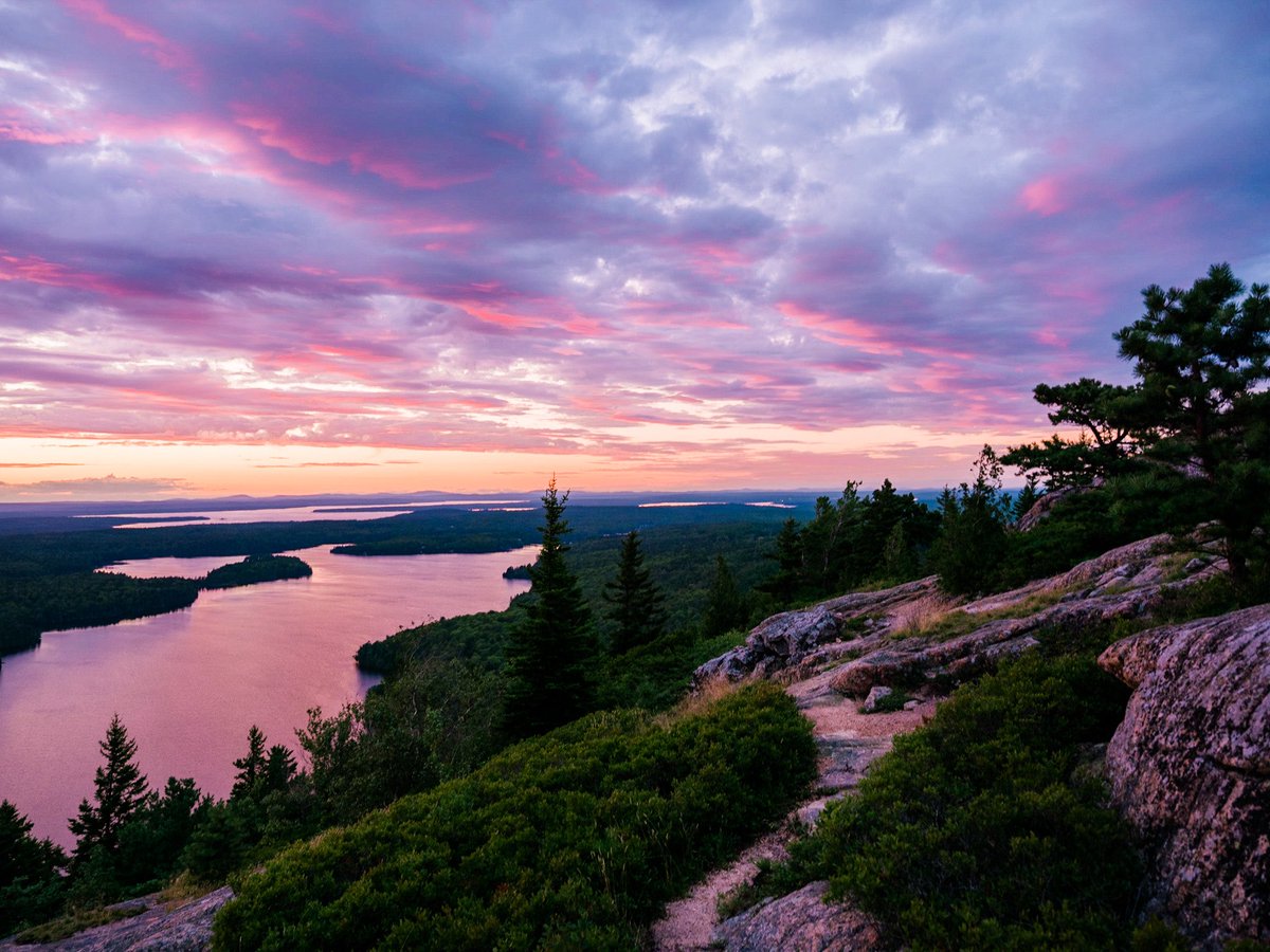 Nevin Johnson tweet media