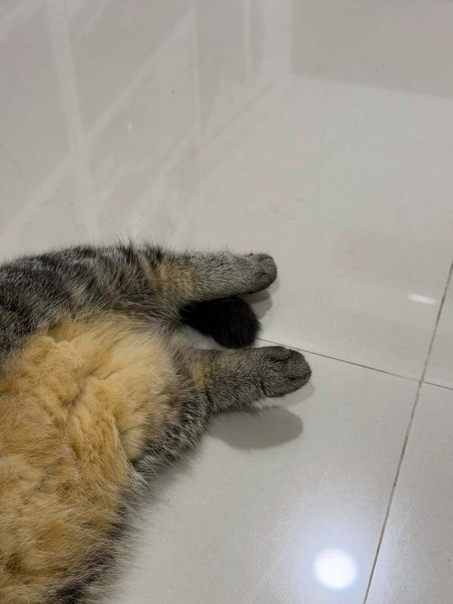 pesona mirna ✨
#simbasaekkiya