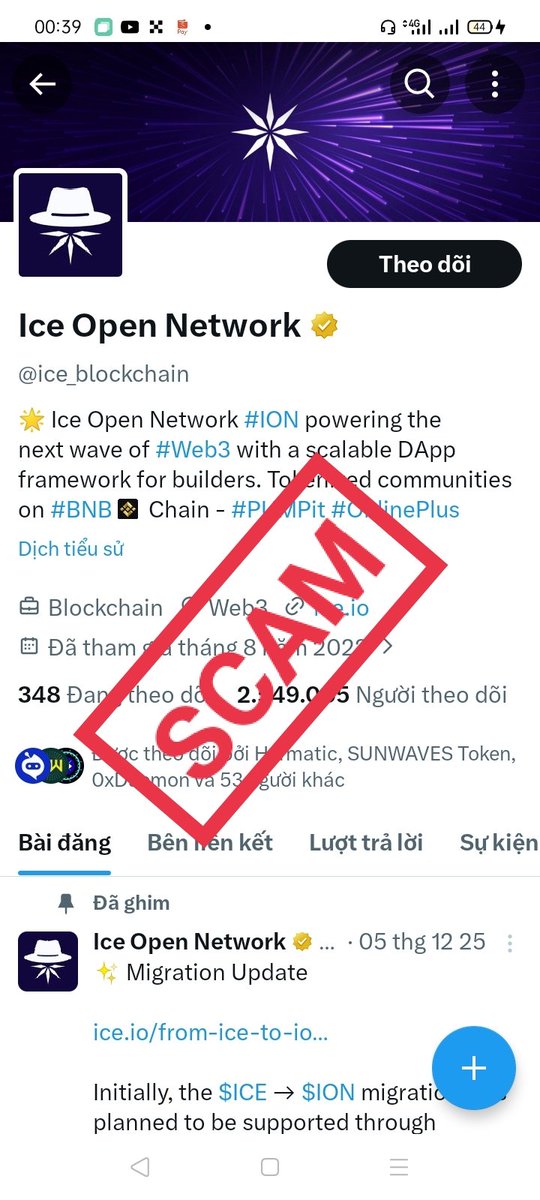 Pi & Bee tweet media