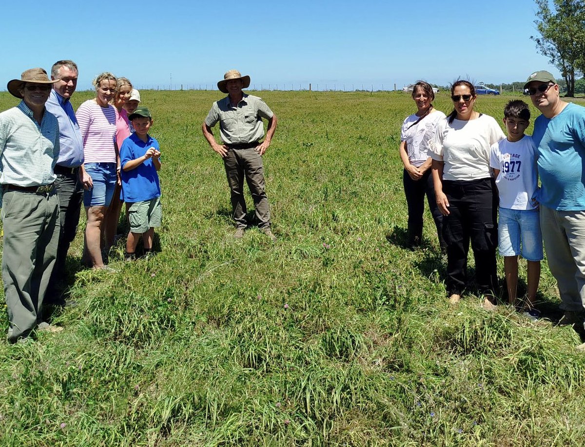 Pasture Genetics tweet media