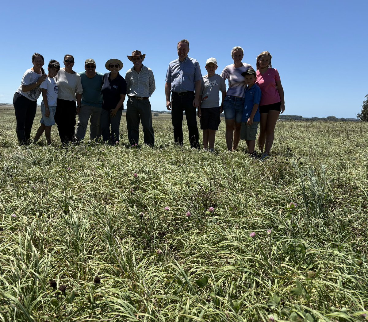 Pasture Genetics tweet media