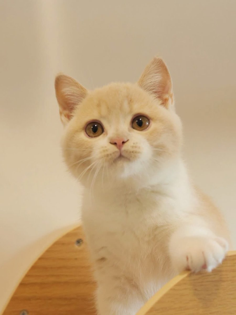 還不是底部
不能抄底！