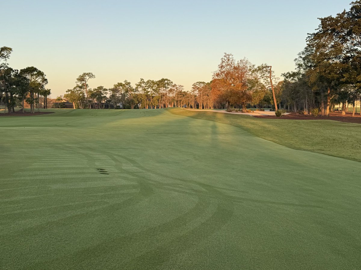 Aaron Ohloff tweet media