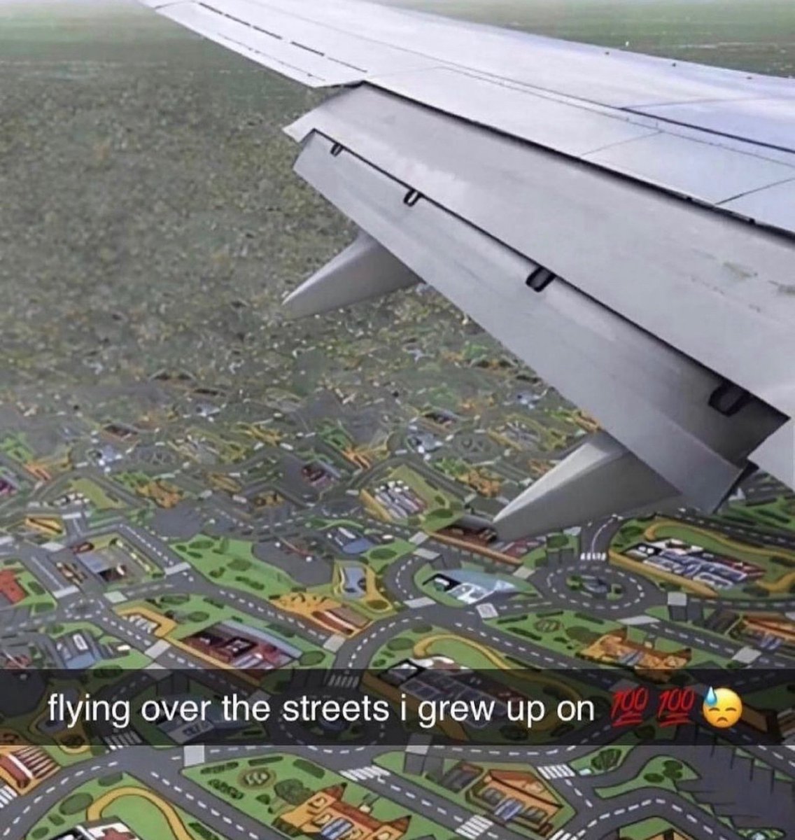 Out of Context Human Race (@nocontexthumans) on Twitter photo 