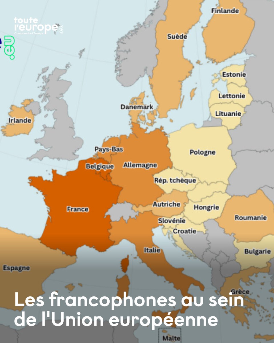 Toute l'Europe tweet media