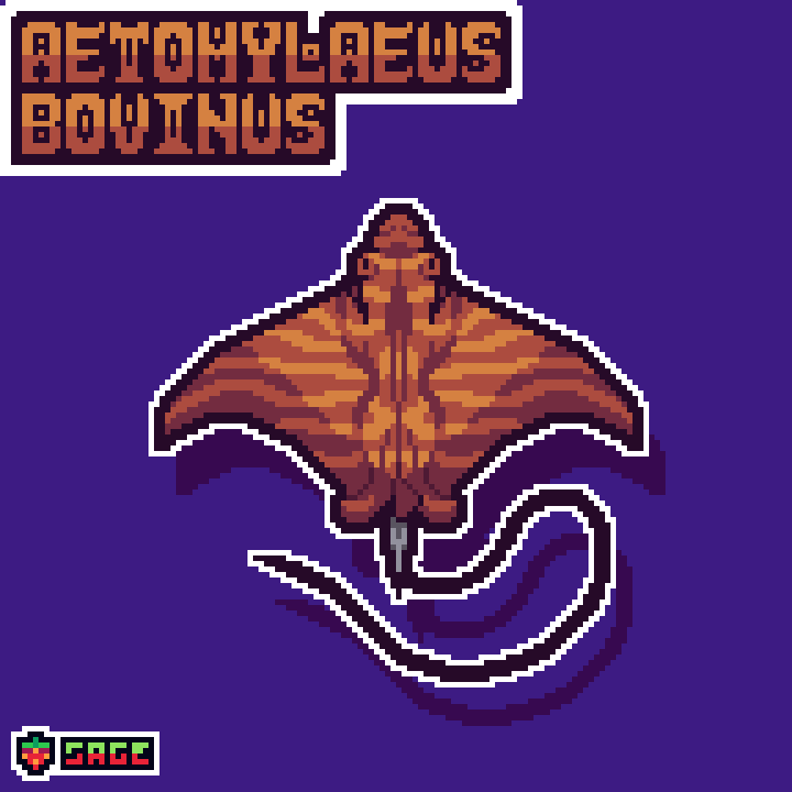 strawbrysage's tweet photo. bull ray :)
#pixelart #aseprite #eagleray https://t.co/RTa4uKGtbi