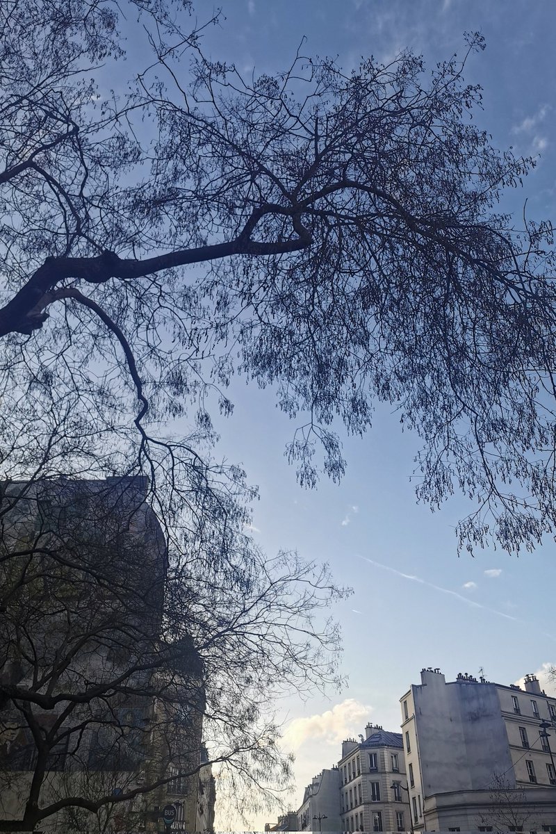 Paulette à bicyclette tweet media