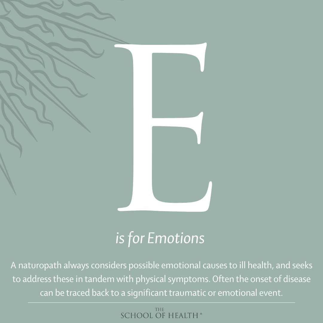 School4Health's tweet photo. Naturopathic philosophy includes concepts from many different natural therapies and healing modalities -- from A to Z.

Learn more, study naturopathy.
https://t.co/8rl3Scer3h

#traumahealing #naturopathy #naturopathicmedicine #BeBetterNaturally https://t.co/8gKXaU4Fo6