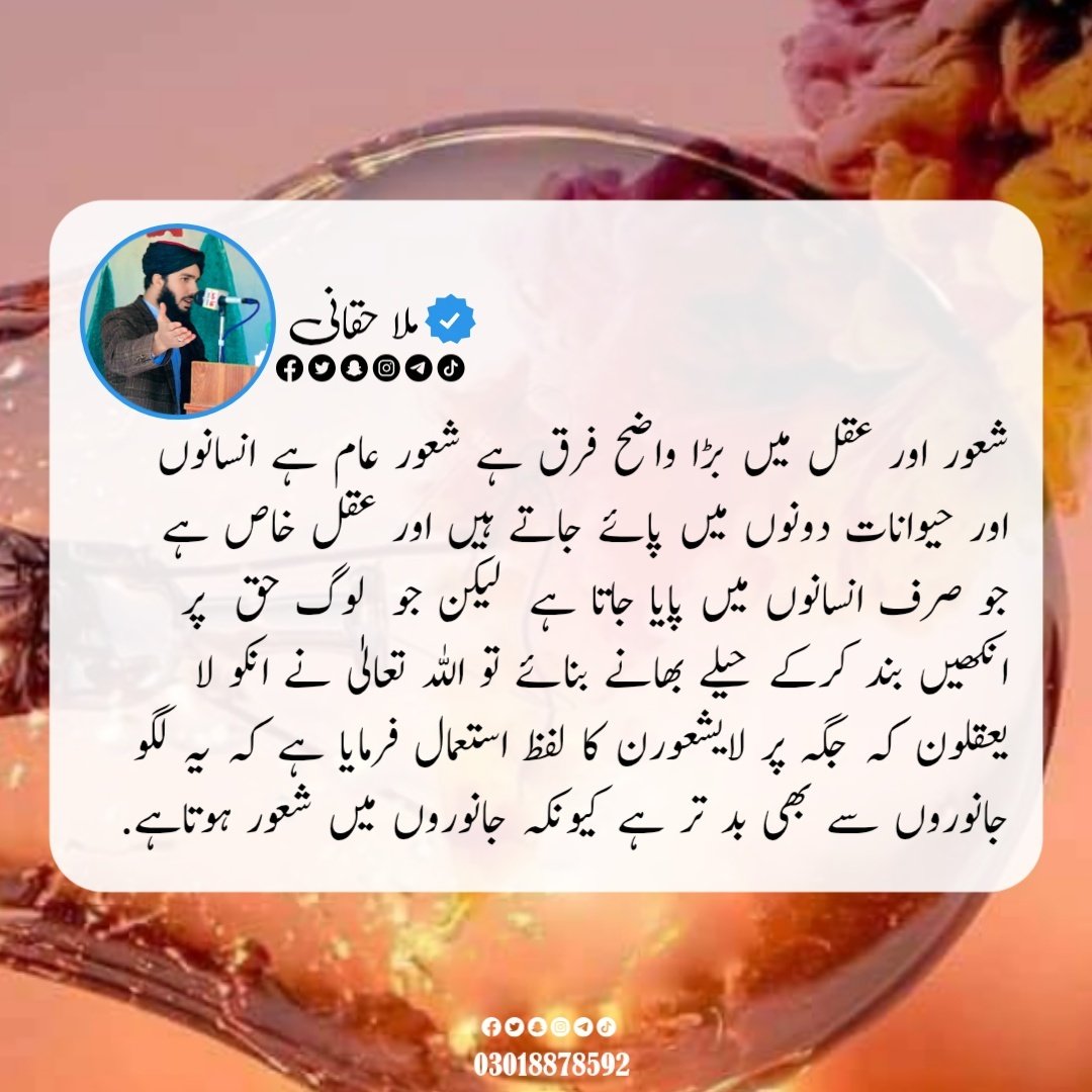 ملا حقانی (@rafi3490) on Twitter photo 