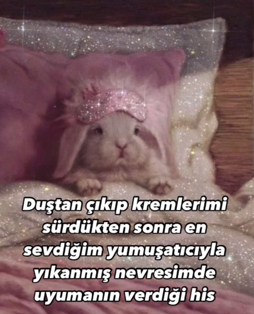 Tülin (@birazgerildik) on Twitter photo 