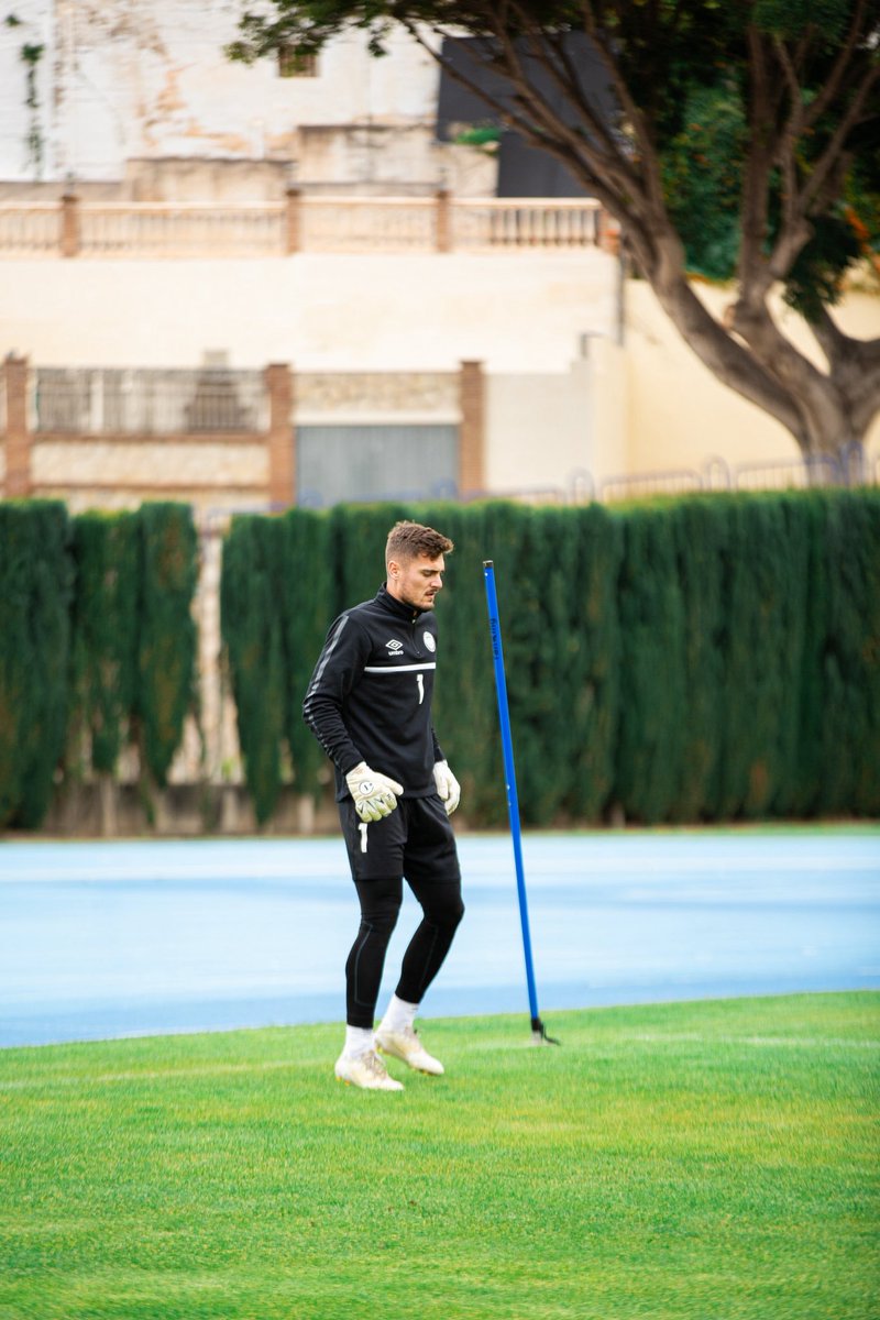 Fran Martinez tweet media