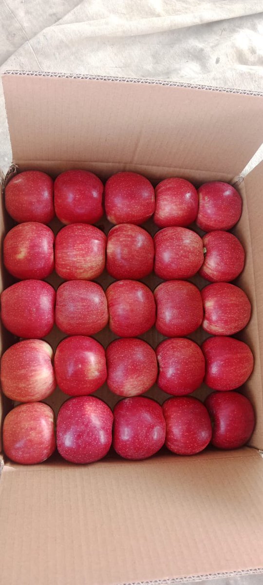 N s kakar (@noormamo285683) on Twitter photo 