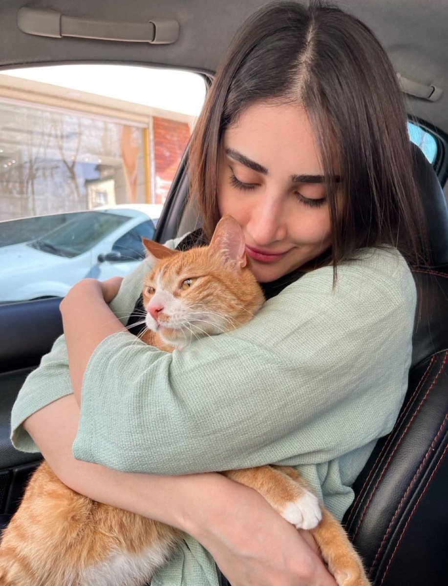 NiohBerg's tweet image. Sanam Pourbabaei did not sacrifice her life for another nuclear deal.