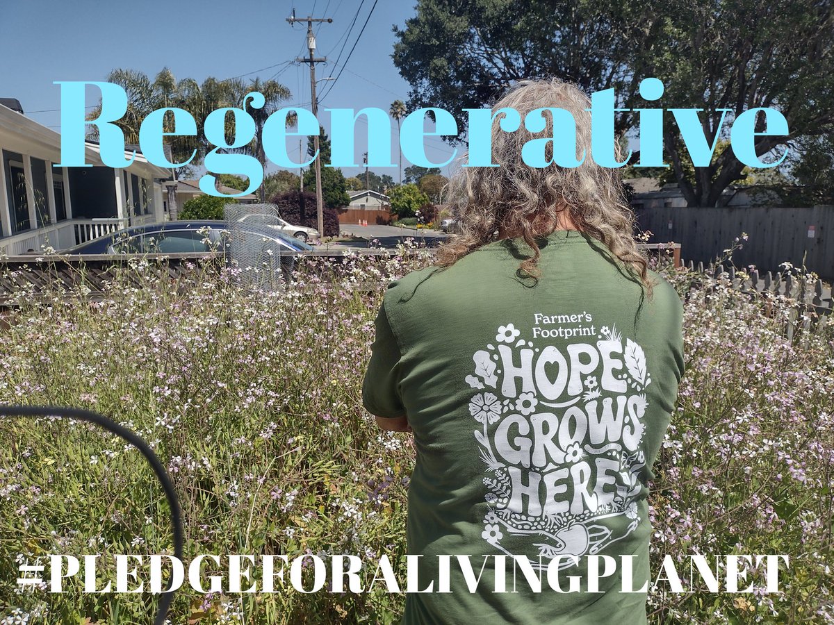 planetweaver's tweet image. 2/
No More Poisoning the Well
🪶🦬
#AimTrue🏹