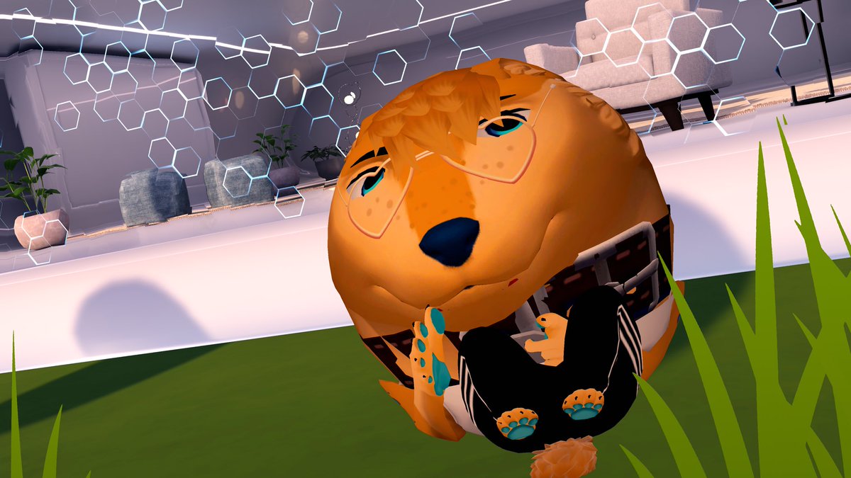 NemoDingo 🔜 FWA tweet media