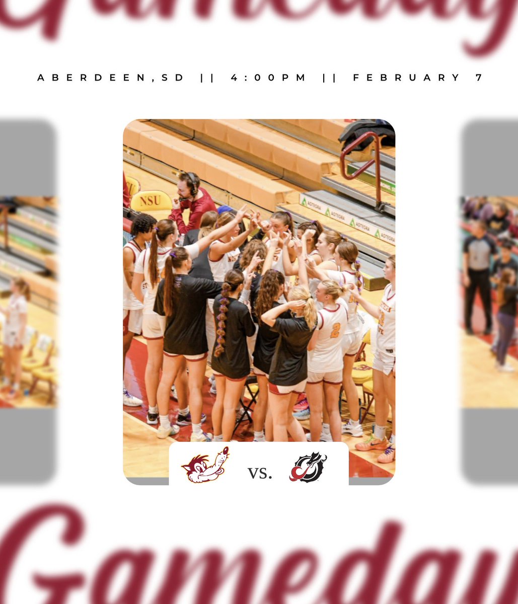 nsuwolves_wbb's tweet image. It’s GAMEDAY🤟🐺

@nsuwolves_wbb 🆚 MSU Moorhead

⏰ 4:00 PM
📍Aberdeen, SD

📺📊nsicnetwork.com/nsuwolves/

#GoWolves🐺 | #maroonNgold🐾