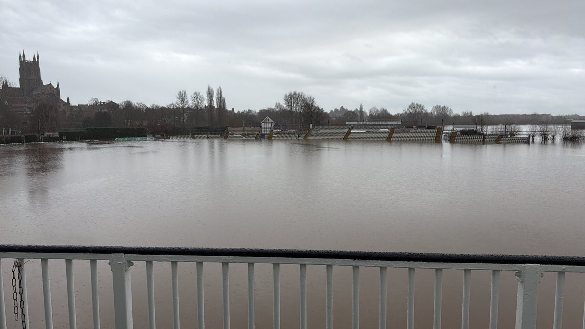 Stephen Manfield tweet media