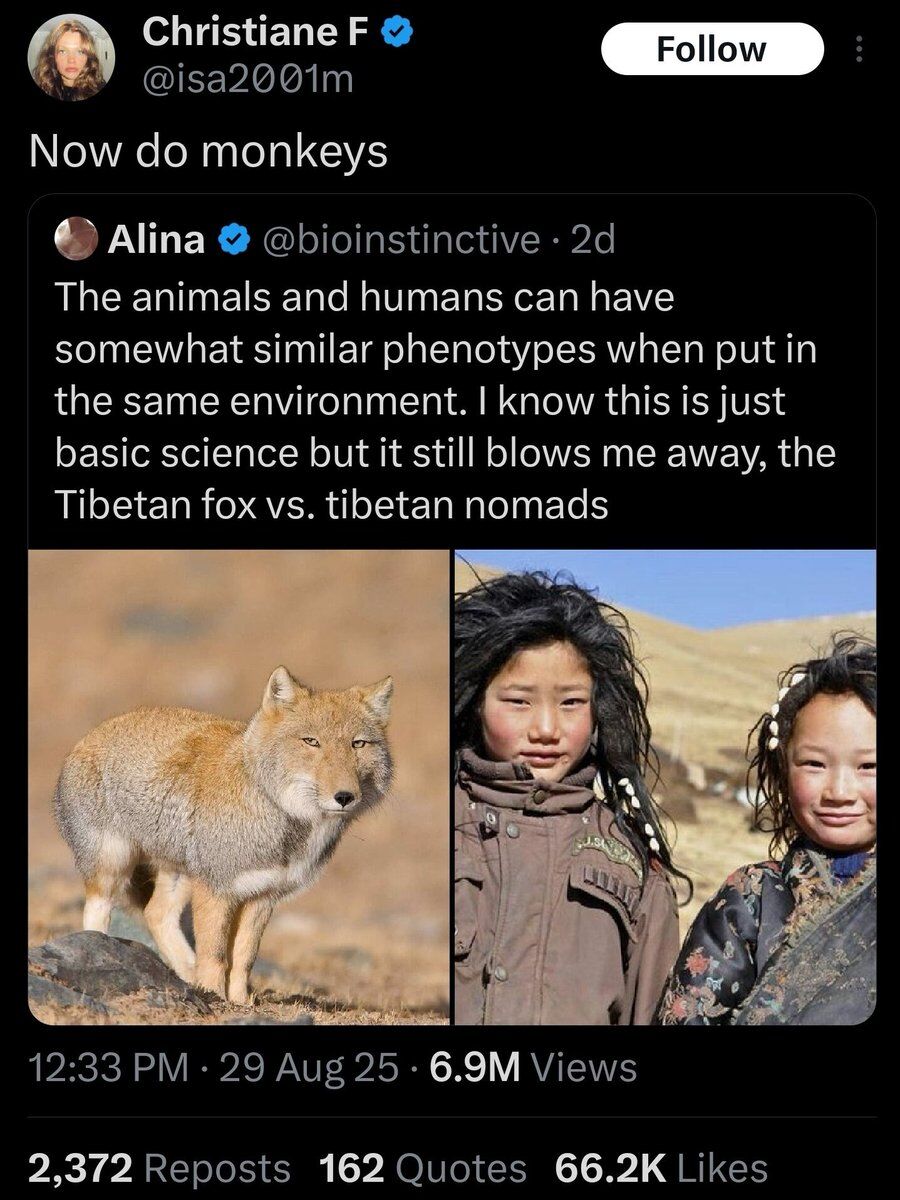 I laughed (@found_it_funny) on Twitter photo 