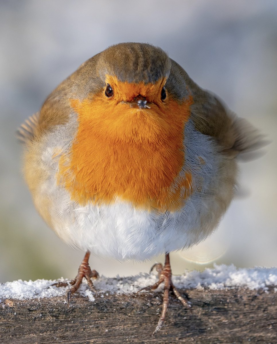 Paul Cunniffe tweet media