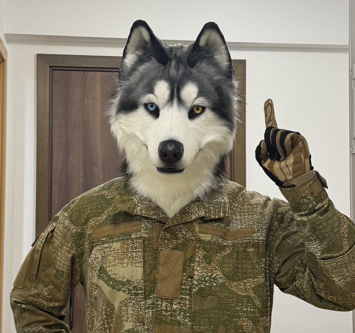狗王🇺🇦 tweet media