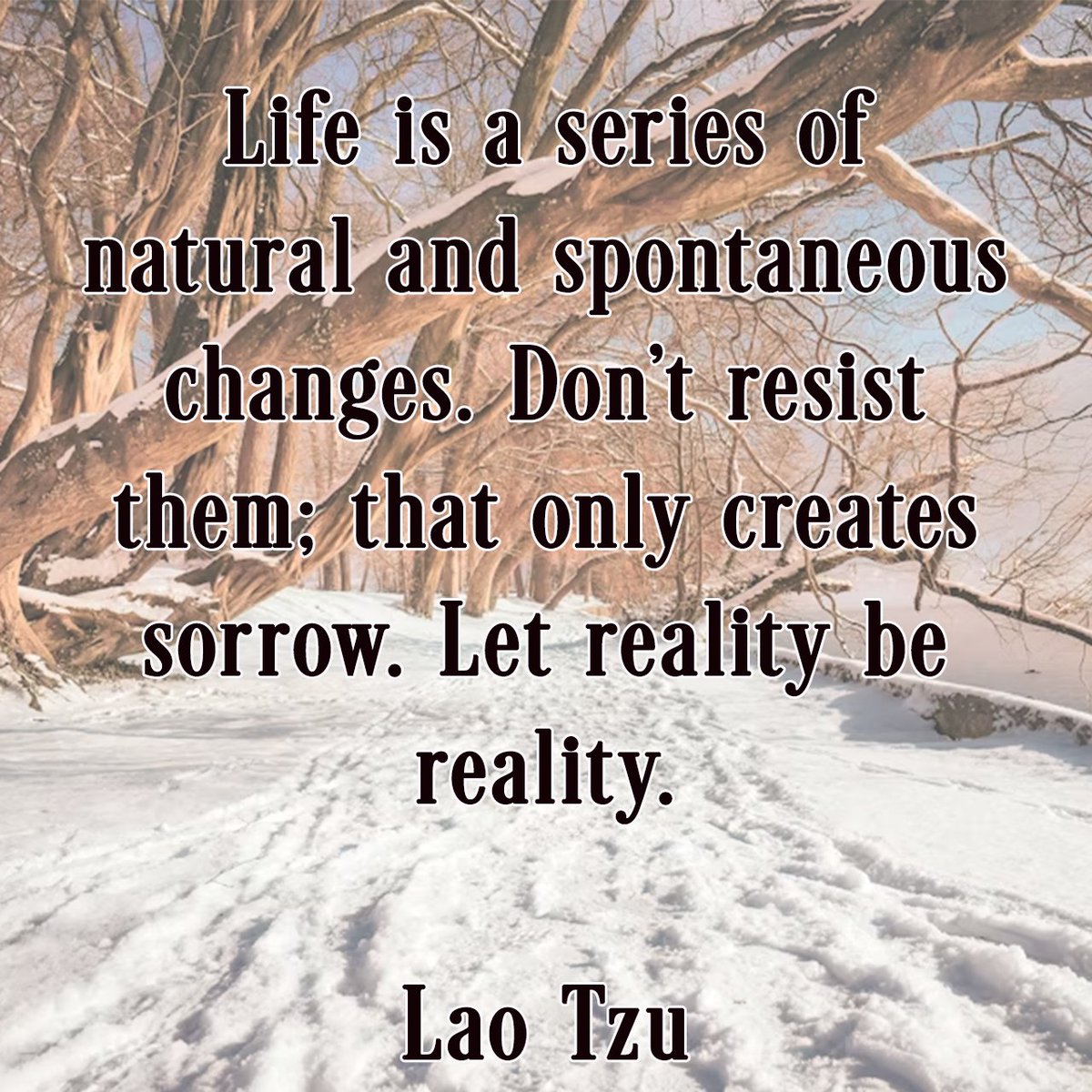 #QuoteOfTheWeek #Laozi #ChinesePhilosopher #Lifequotes #inspirationalquotes #motivationalquotes #LaoTzu