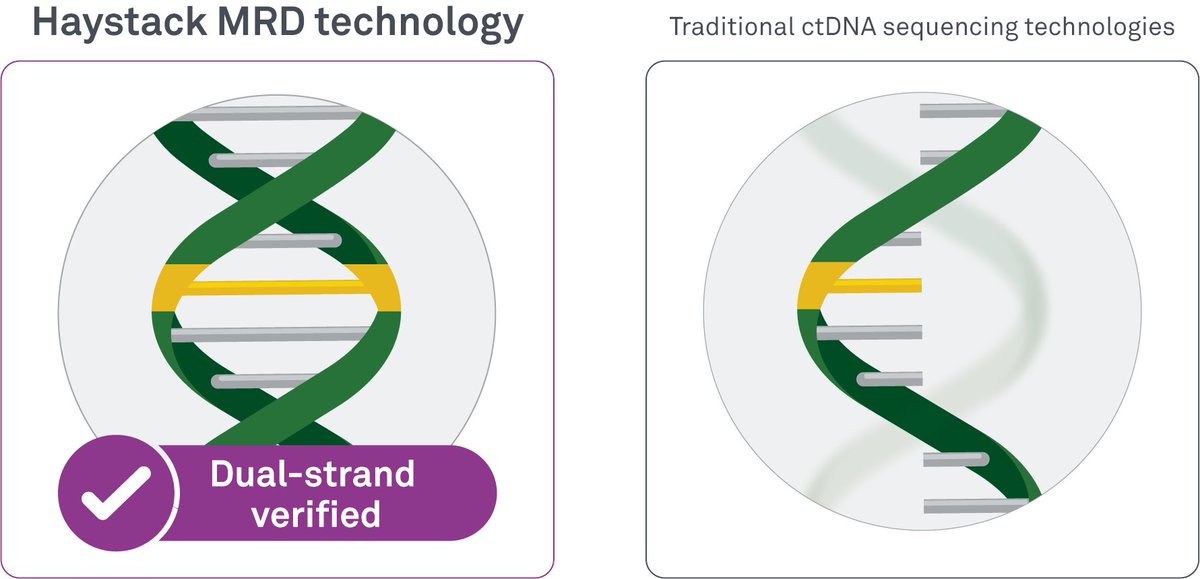 Haystack MRD® by Quest Diagnostics® tweet media