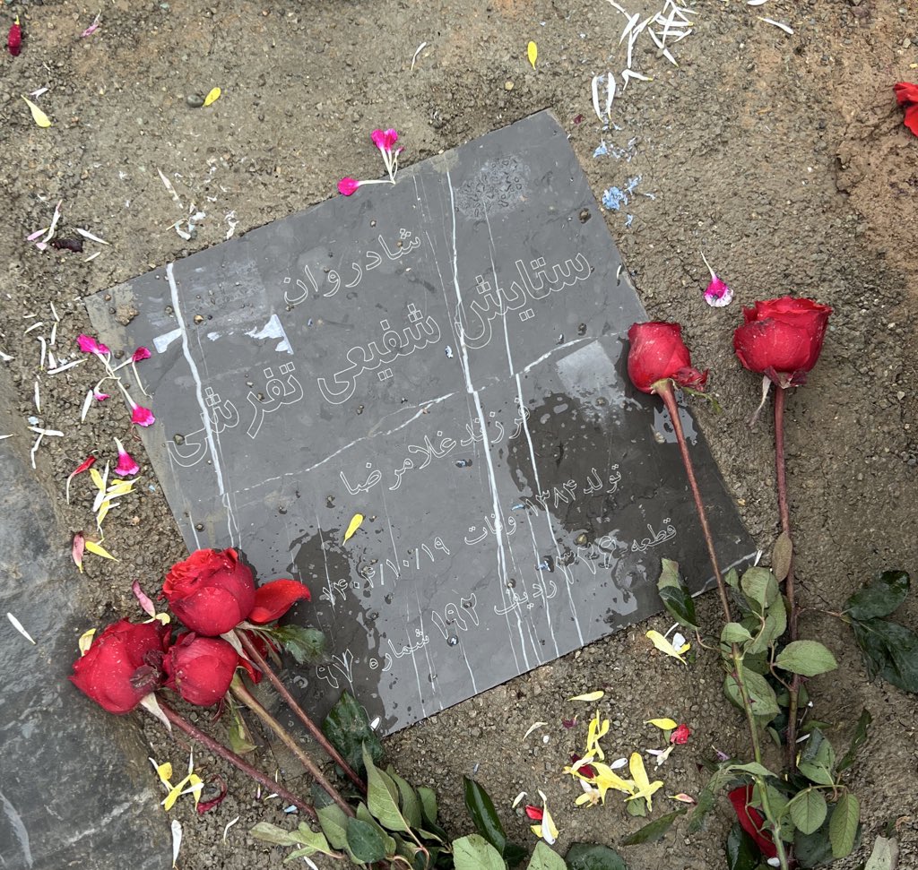 نوشتند که تنها زندگی کردی و تنها کشته شدی، ولی خواستم بدونی که بی‌کس نیستی عزیز شجاع من، تا همیشه به یادتم، دختری که خورشید بود ❤️
#ستایش_شفیعی