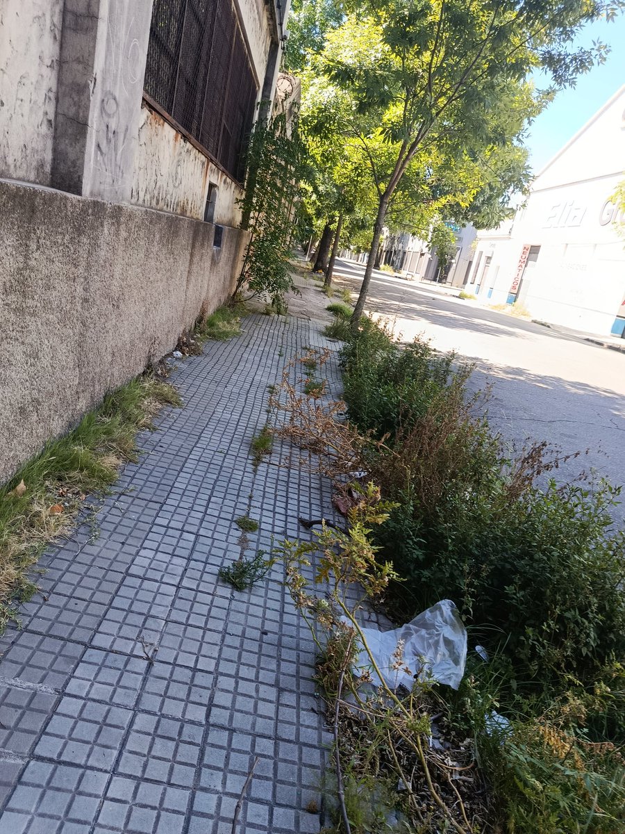 t0mjoad's tweet image. A 10 cuadras de 18. En cualquier momento aparece Bella Ramsey a filmar the last of us