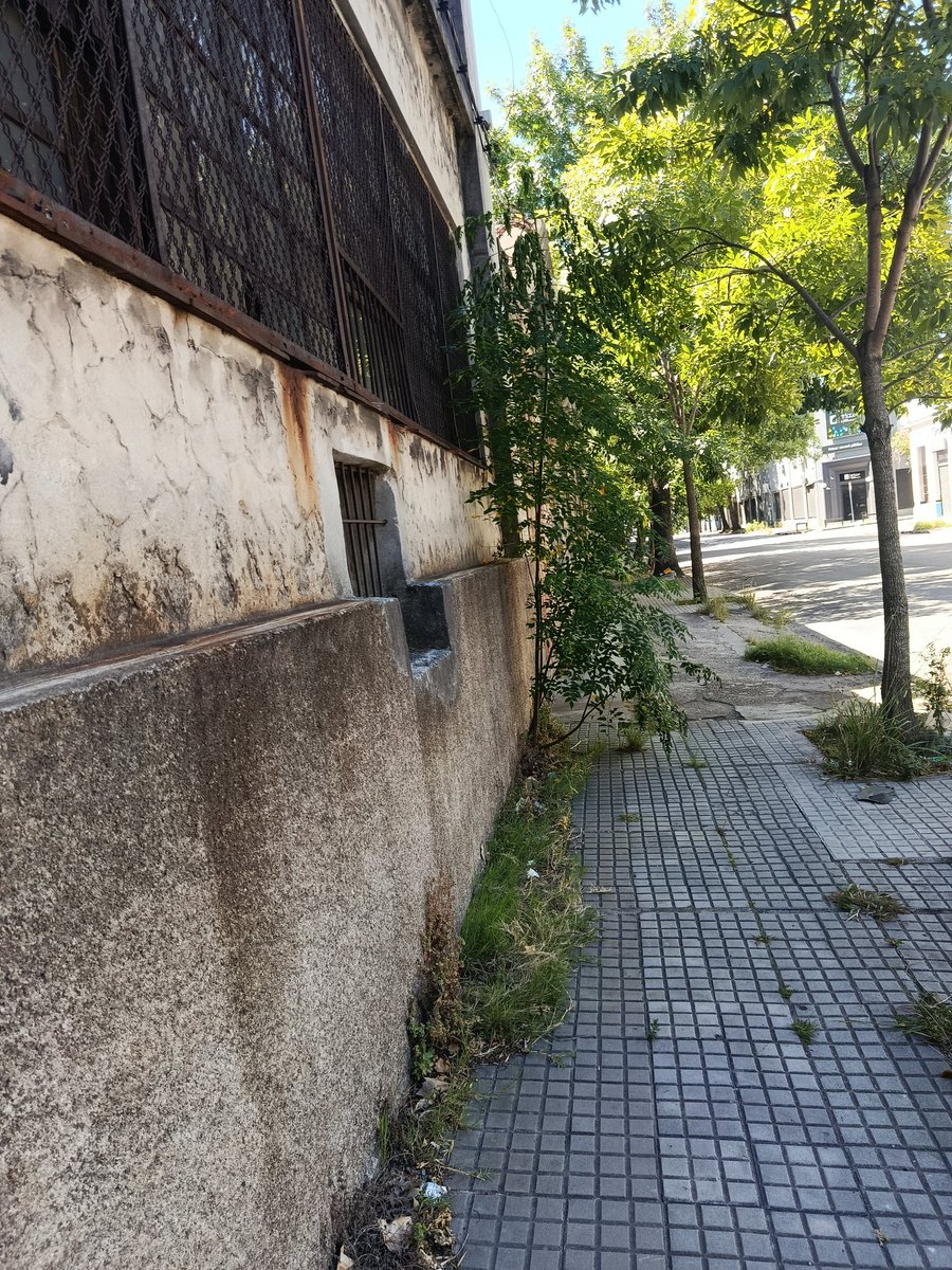 t0mjoad's tweet image. A 10 cuadras de 18. En cualquier momento aparece Bella Ramsey a filmar the last of us