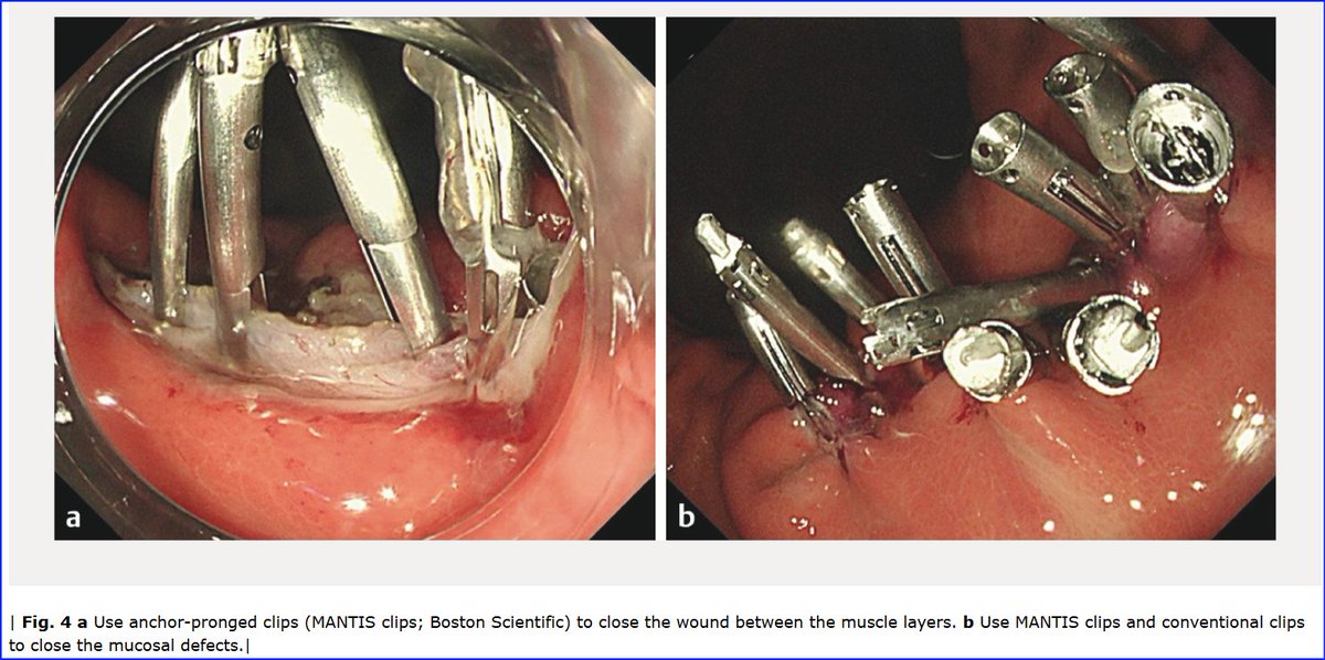Rajan kanth tweet media